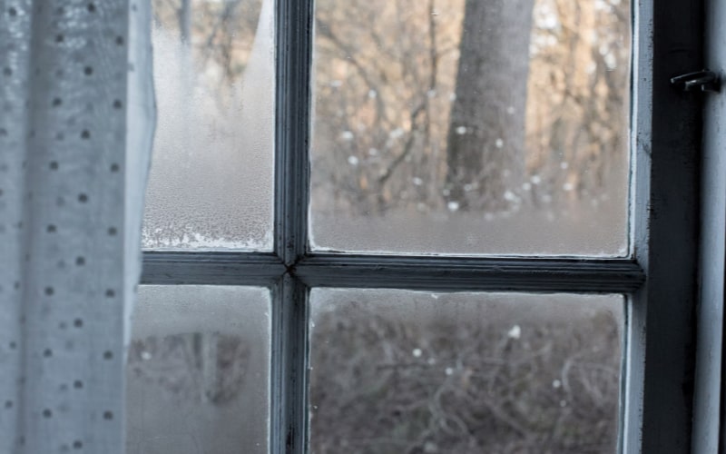 Window with condensation causing mould around the frame