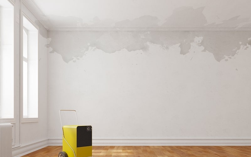 Empty room showing signs of rising damp with dehumidifier in foreground