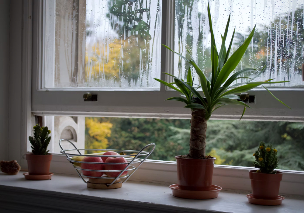 Open window covered in condensation